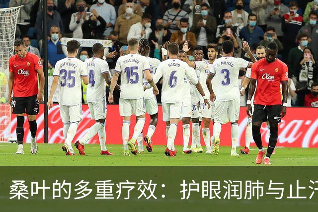 桑叶的多重疗效：护眼润肺与止汗良方